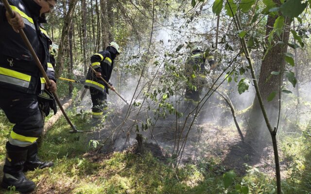 Wald­brand in Fer­lach