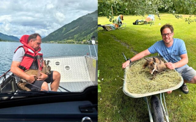 Gams­kitz aus dem Was­ser geret­tet