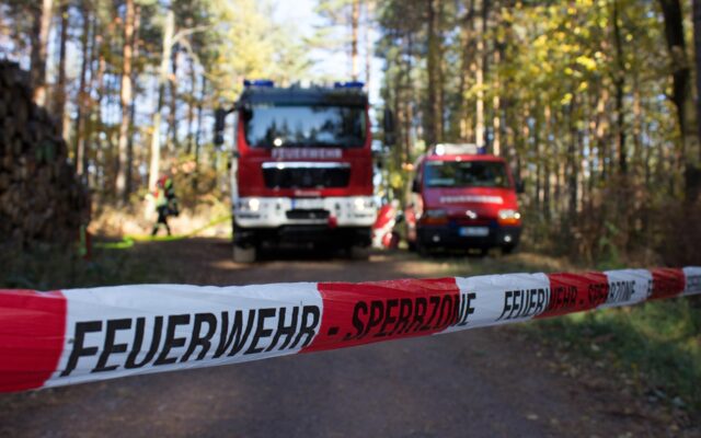Baum riss Forst­ar­bei­ter zu Boden