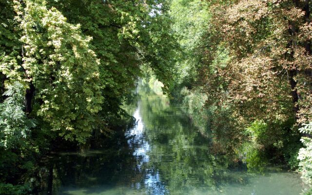 Stadt rät vom Baden in der Satt­nitz ab