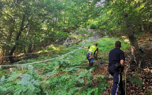 Berg­ret­ter hol­ten Para­glei­ter von Baum