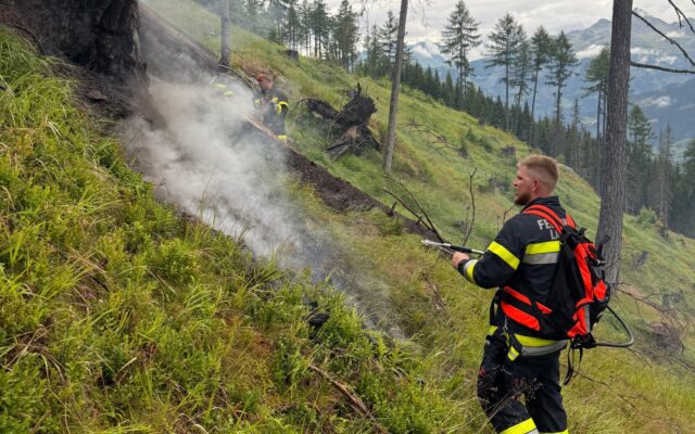 Blitz setzt Wurzelstock in Brand
