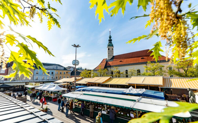 Markt­ko­je neu zu ver­ge­ben