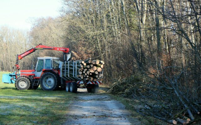 21-Jäh­ri­ger bei Wald­ar­bei­ten schwer ver­letzt