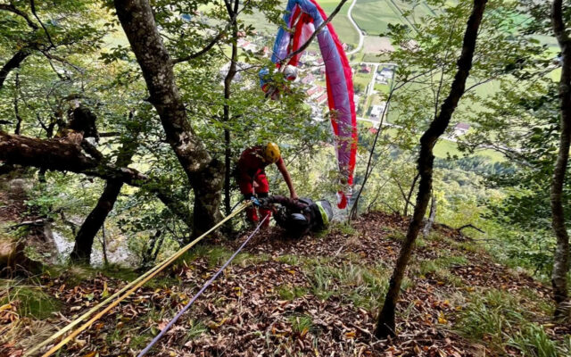 Para­glei­ter in Baum gestürzt
