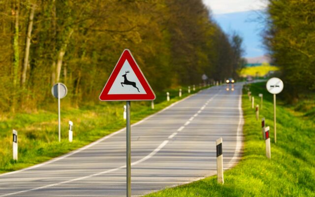 Motor­rad­len­ker bei Kol­li­si­on ver­letzt
