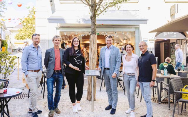 Cine­plexx über­nimmt Paten­schaft für Haupt­platz-Baum