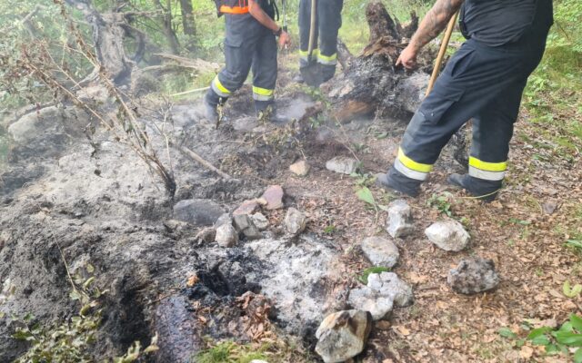 Wald­brand gelöscht