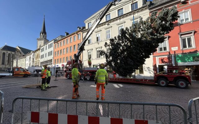 Weih­nachts­baum mit Geschich­te