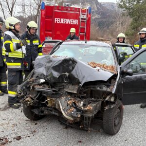 46-Jähriger prallte frontal gegen Baum