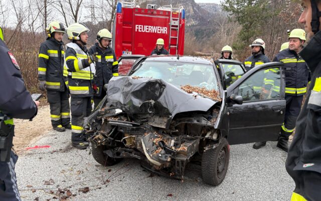 46-Jähriger prallte frontal gegen Baum