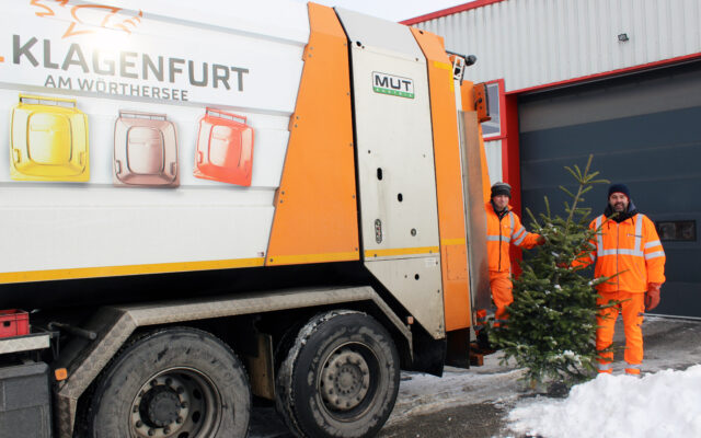 Christ­bäu­me rich­tig ent­sor­gen nach den Fei­er­ta­gen