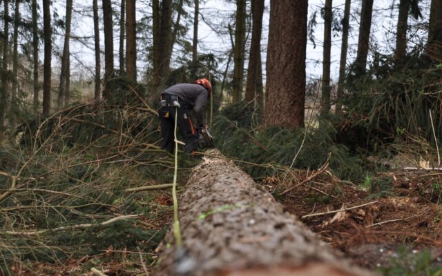 Land­wirt bei Holz­ar­beit schwer ver­letzt