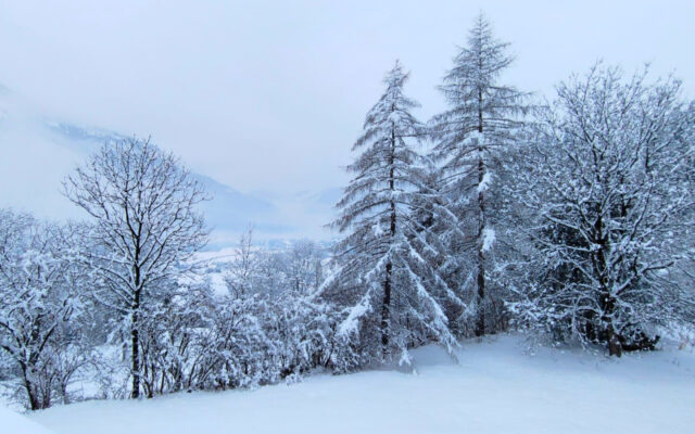 Schnee sorgt für Ver­kehrs­pro­ble­me