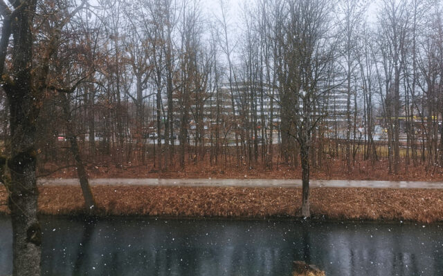 Schnee, Föhn und Früh­lings­ge­füh­le