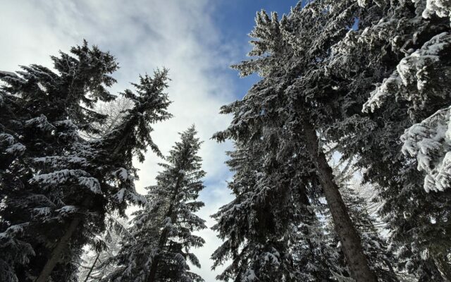 Aktu­el­les Update zur Schnee­la­ge