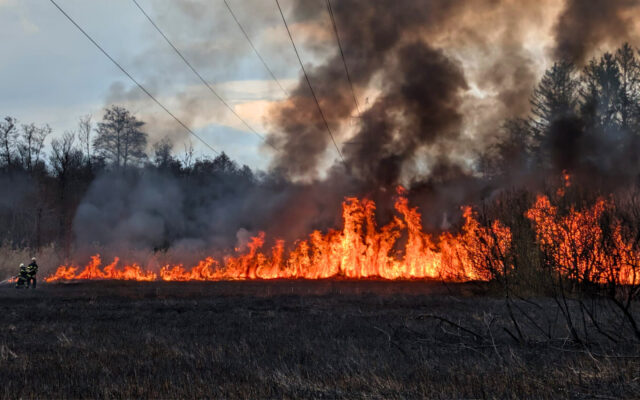 Brand in Natur­schutz­ge­biet gelöscht