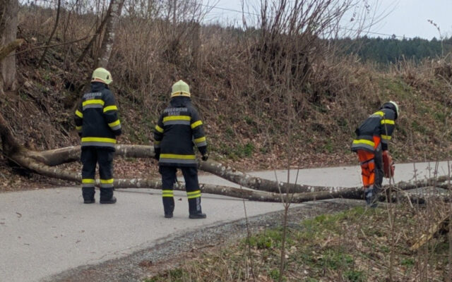 Meh­re­re Sturmein­sät­ze in Kraig