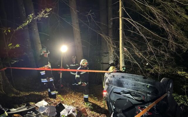 Pkw stürz­te 40 Meter über Wald­hang: Jun­ges Paar such­te zu Fuß Hil­fe