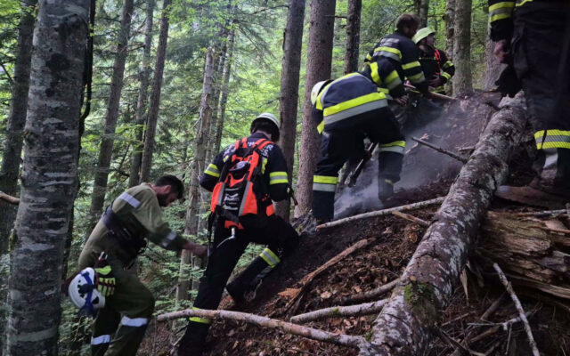 Feu­er­wehr ver­hin­dert grö­ße­ren Wald­brand