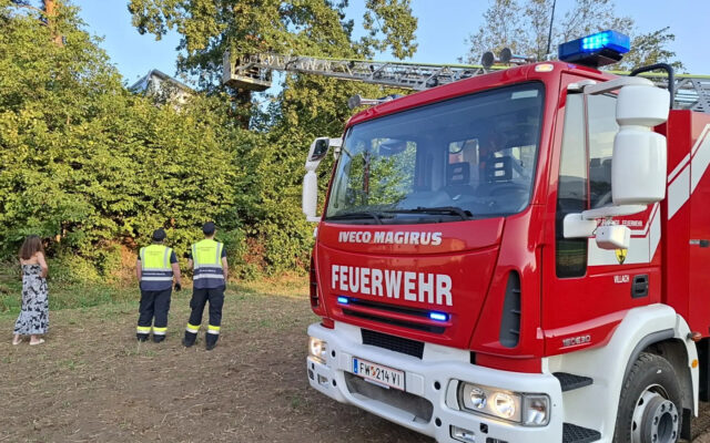 Feu­er­wehr ret­tet Kater Loki aus acht Metern Höhe