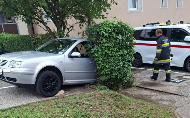 Auto macht sich selbst­stän­dig