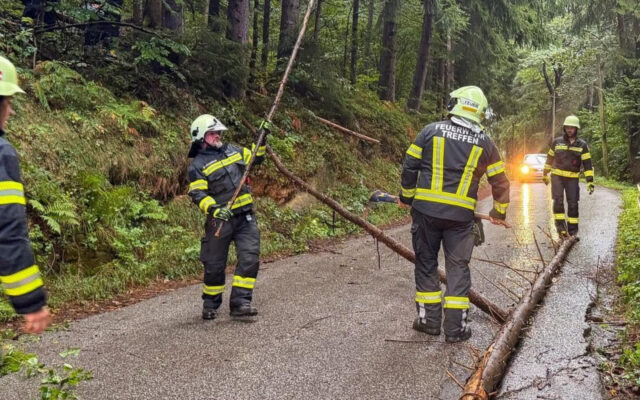 Baum blo­ckier­te Ger­lit­zen­stra­ße