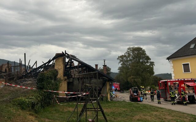 Großeinsatz bei St. Donat: 110 Rinder gerettet