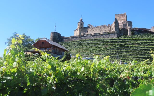 Wein­fest auf Glan­egg mit Wein, Sturm und Musik