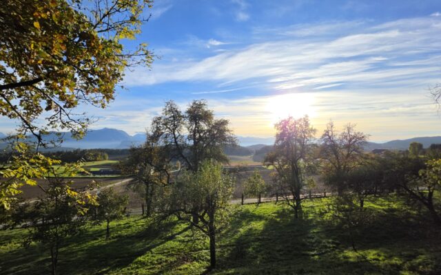 Son­ne und Nebel wech­seln sich ab
