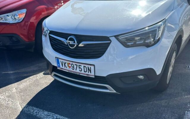 Auto direkt vor Tier­heim gestoh­len