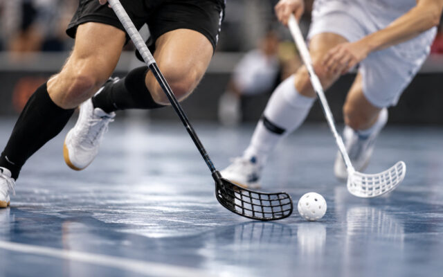 Vil­lach wird zur gro­ßen Flo­or­ball-Are­na