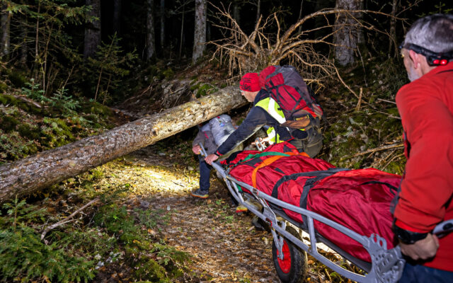 51-Jährige stürzte in steilem Waldgelände ab